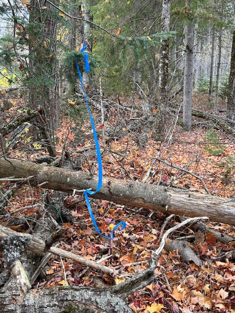 6-l 2.01 Murray Road Thorndike, ME 04986 - Photo 4 of 7 unnamed (3)