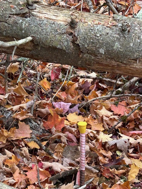 6-l 2.01 Murray Road Thorndike, ME 04986 - Photo 5 of 7 1