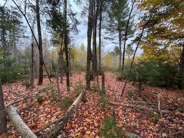 $65,000 | 6-l 2.01 Murray Road, Thorndike, ME 04986