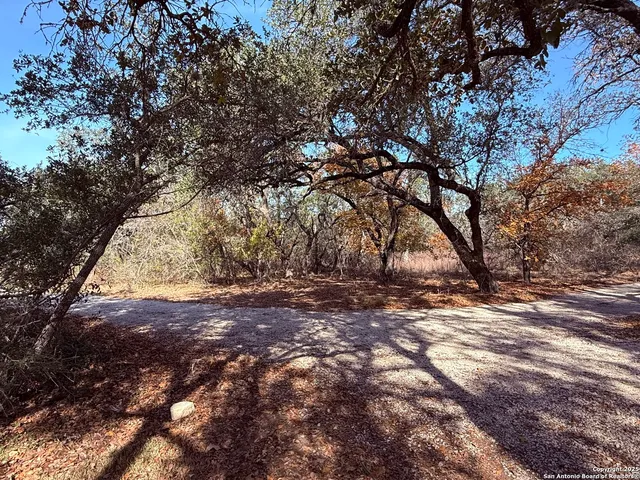 $3,250 | 250 Palomino Trail, Natalia, TX 78059