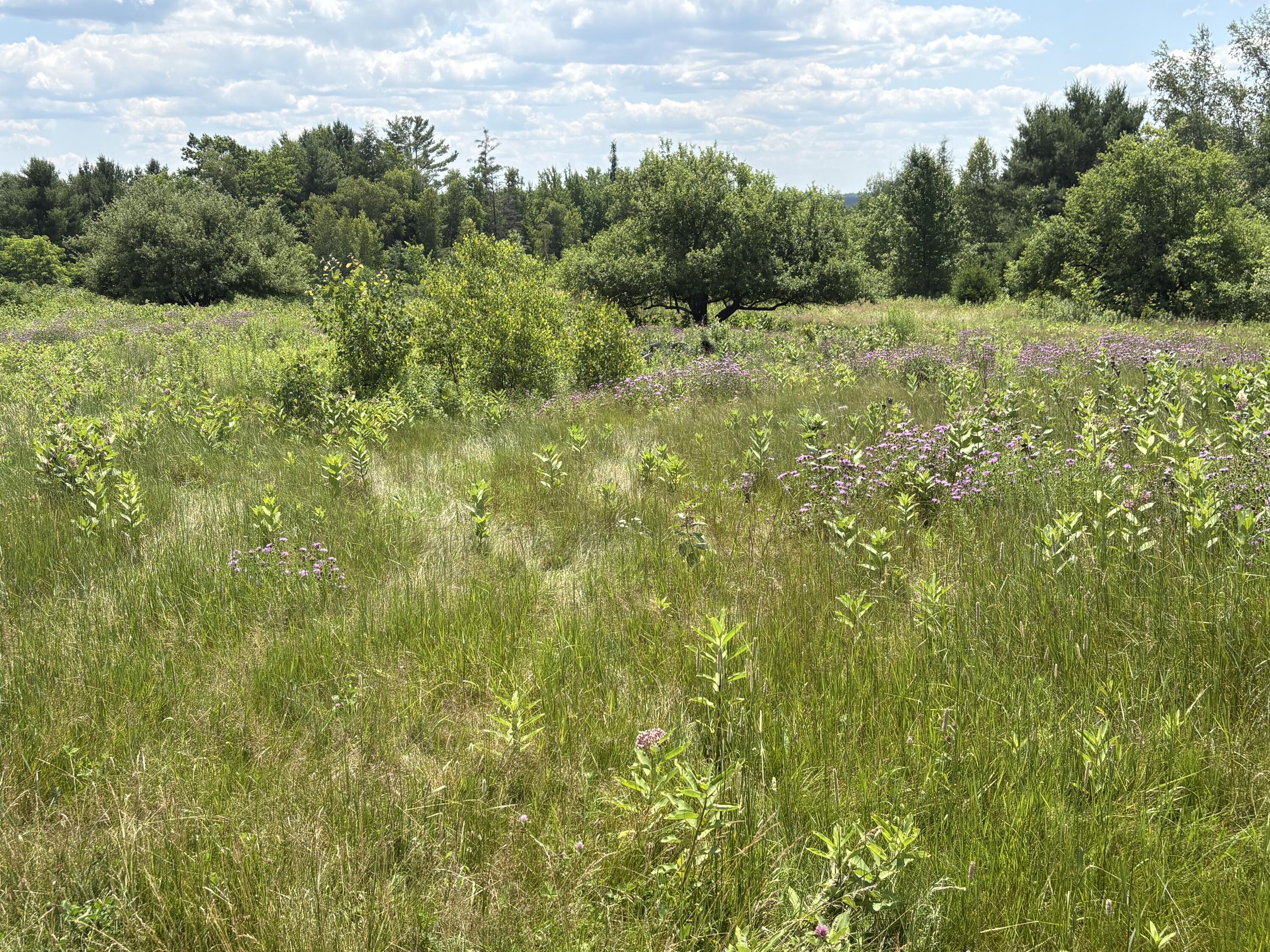 415 Medford Road Milo, ME 04463 - Photo 15 of 18 IMG_3443