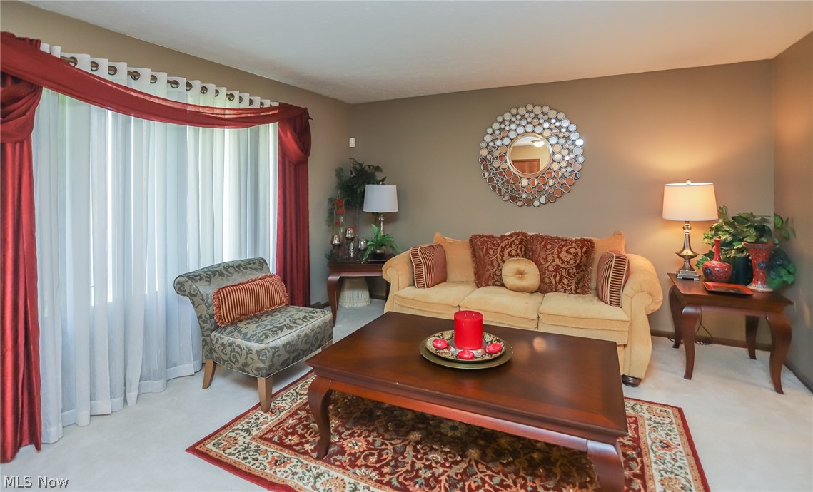 13760 Milo Road Cleveland, OH 44125 - Photo 3 of 33
