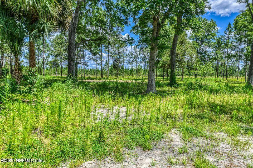 15554 Co Road Hilliard, FL 32046 - Photo 3 of 9 Hill Farms