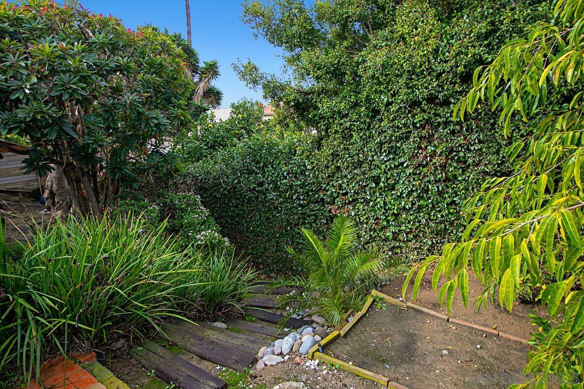 5524 Candlelight Drive La Jolla, CA 92037 - Photo 27 of 27 a view of a yard