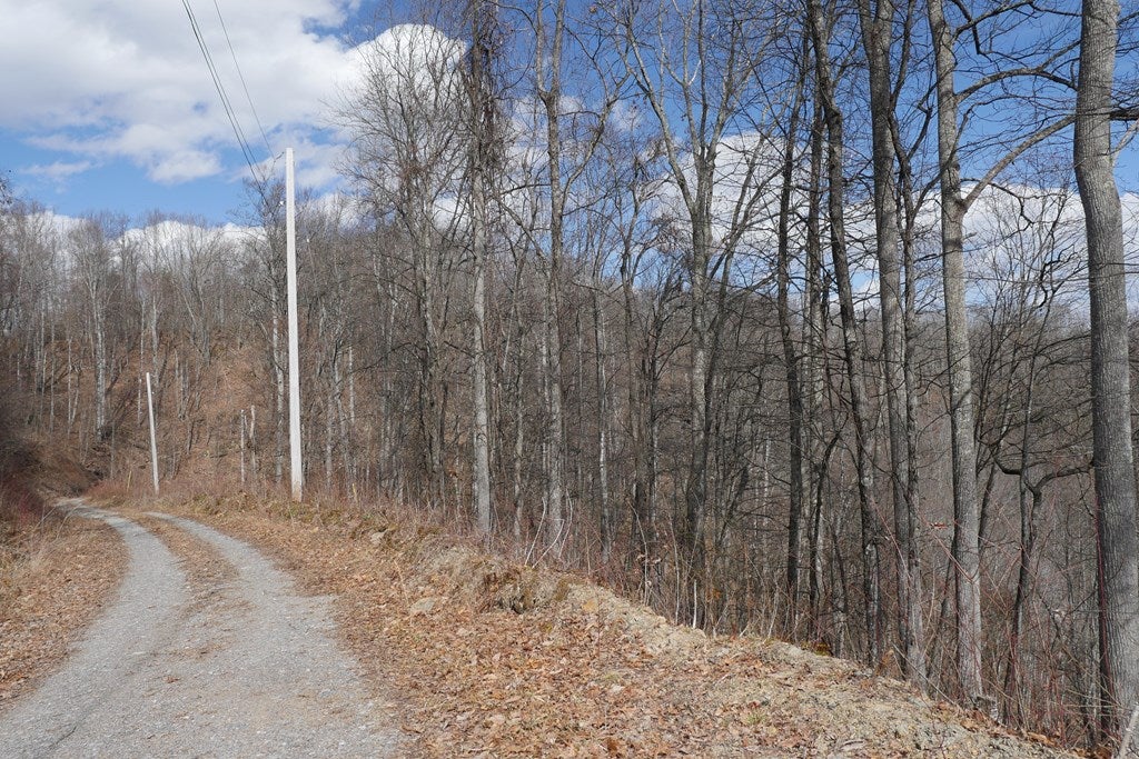 Tbd Reynolds Ridge Road, Unit 1 Bandy, VA 24602 - Photo 11 of 44 Gallery Image 11