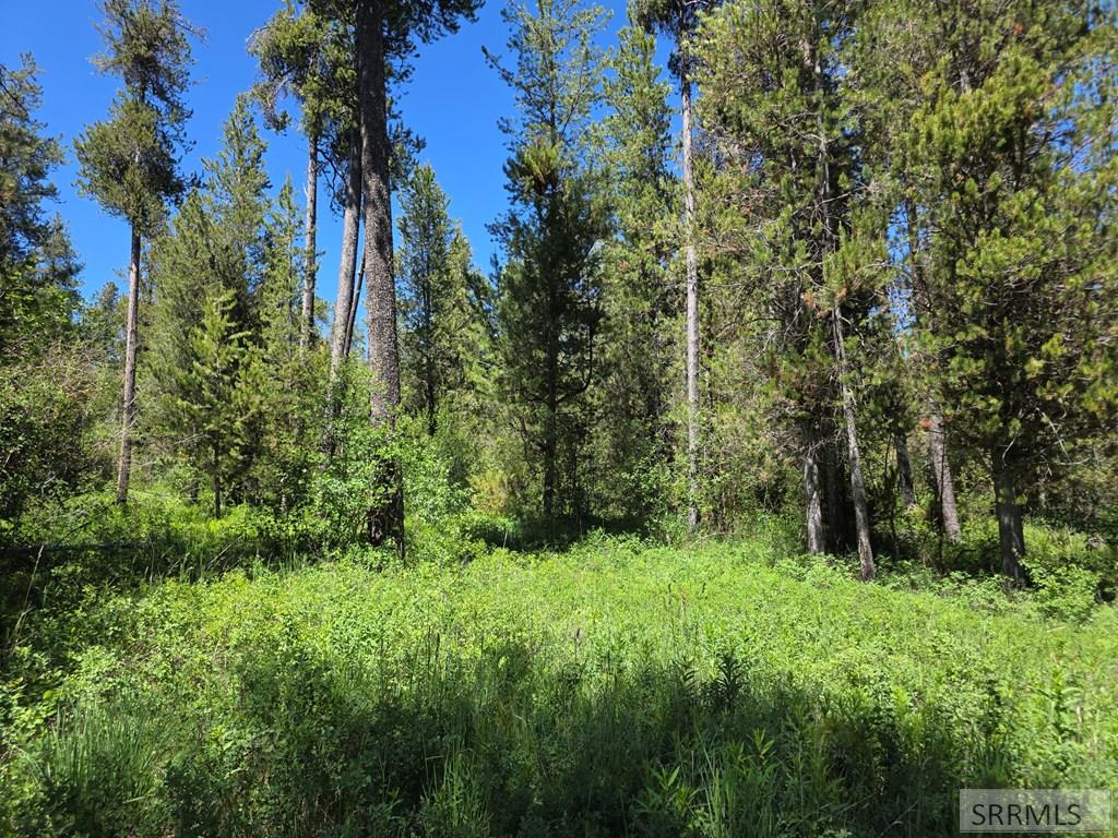 4585 East 1400 Road North Ashton, ID 83420 - Photo 22 of 31