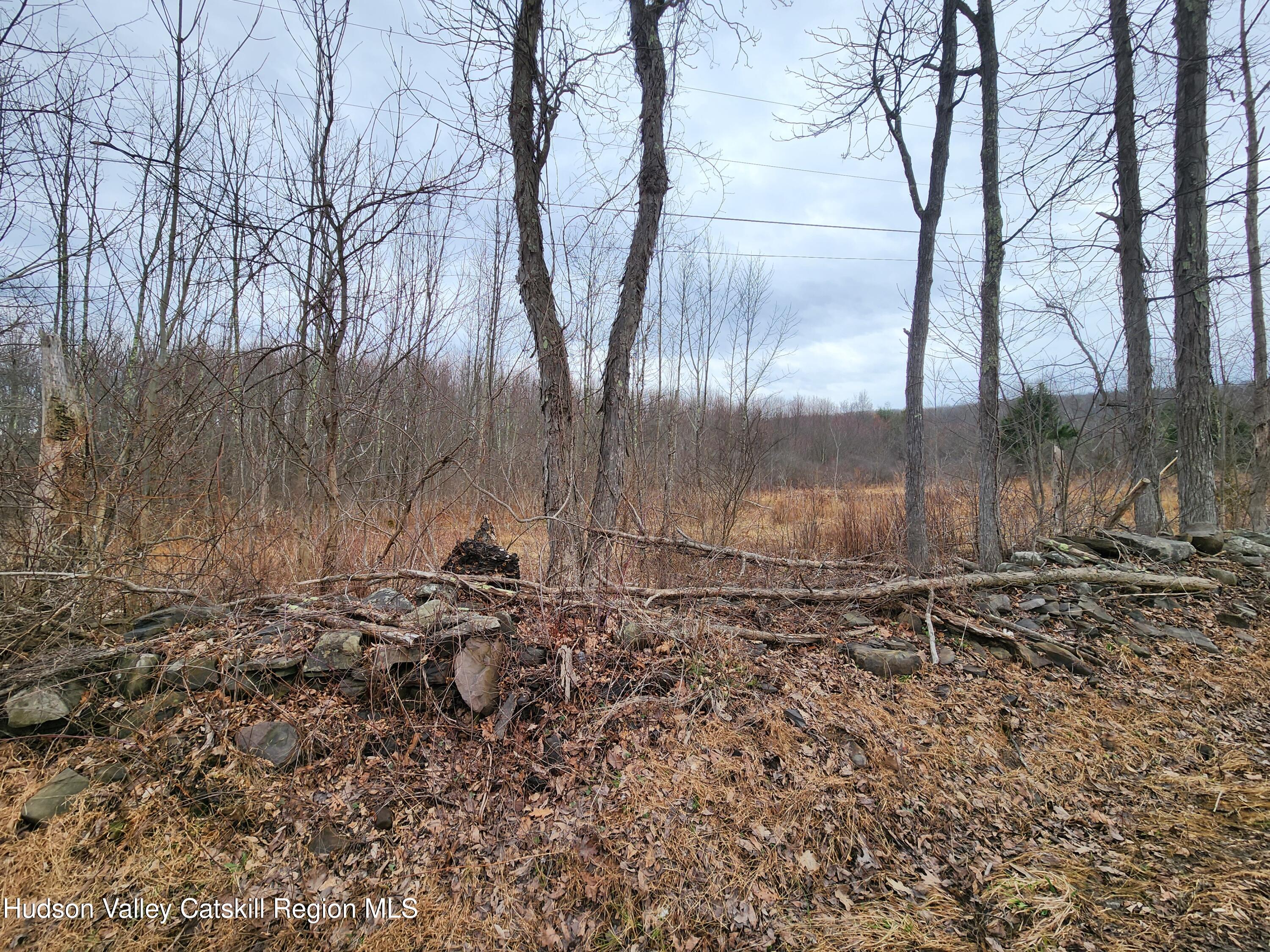 Tbd Irish Cape Road Ellenville, NY 12428 - Photo 12 of 16 a view of a backyard of the house