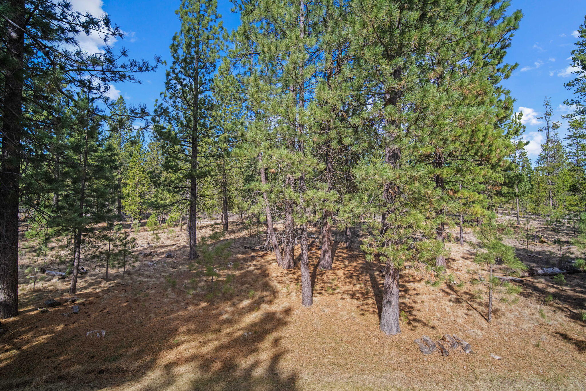 17682 Bittern Lane, Unit 31 Sunriver, OR 97707 - Photo 24 of 44 a view of a yard with trees