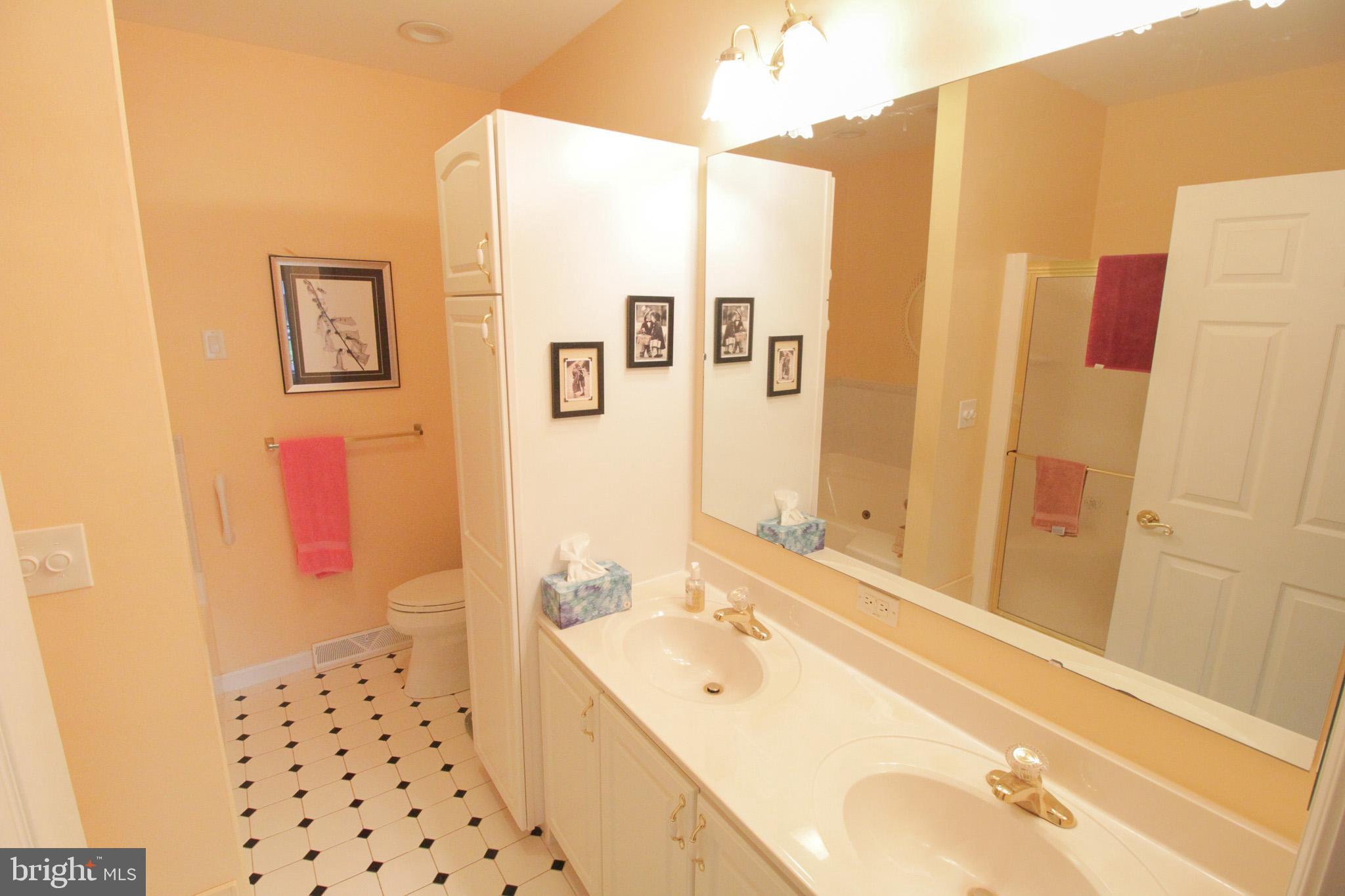 32464 Approach Way, Unit 3278 Millsboro, DE 19966 - Photo 30 of 47 a bathroom with a tub sink and mirror