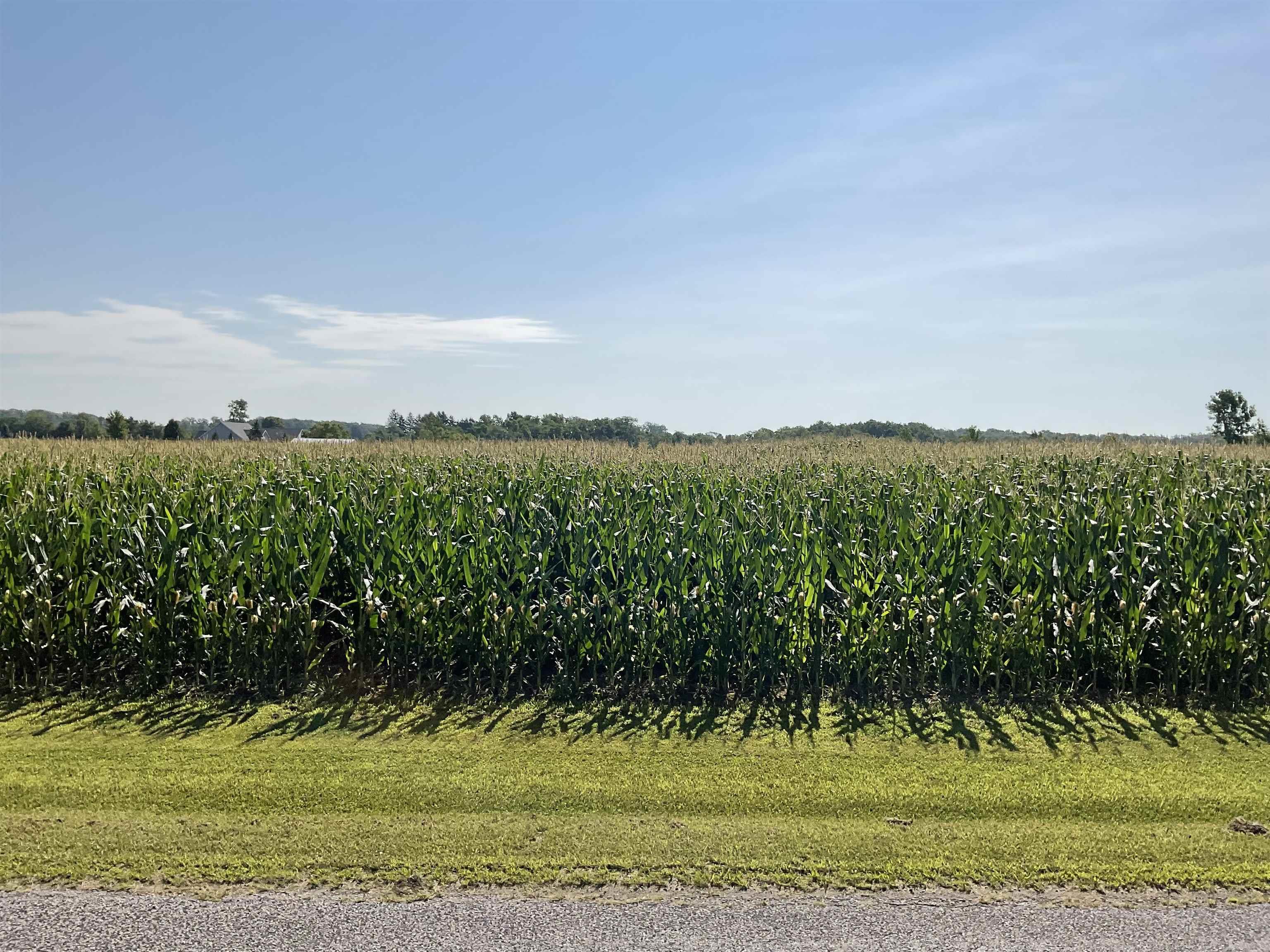 Tbd Tbd Comer Fort Fort Wayne, IN 46819 - Photo 1 of 1 Gallery Image 1