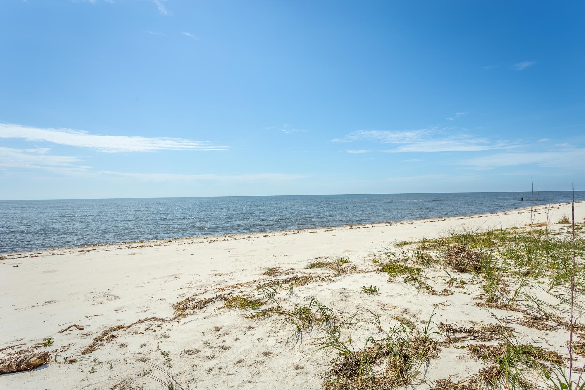 372 Bald Point Road Alligator Point, FL 32346 - Photo 13 of 30