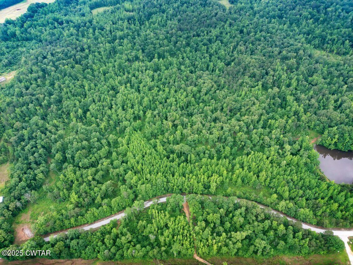 Oo Oo Butler (lot 27-29) Road Pinson, TN 38366 - Photo 3 of 3 thumbnail (1)