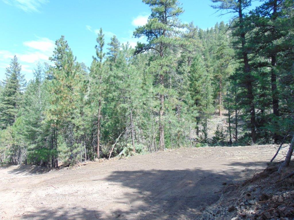 Tbd Shady Spring Lane Cascade, MT 59421 - Photo 77 of 78 Gallery Image 77