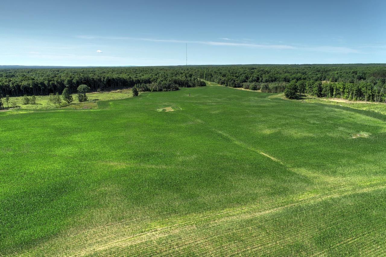0 West 14th Road Mesick, MI 49668 - Photo 10 of 25 1908631-9.JPG