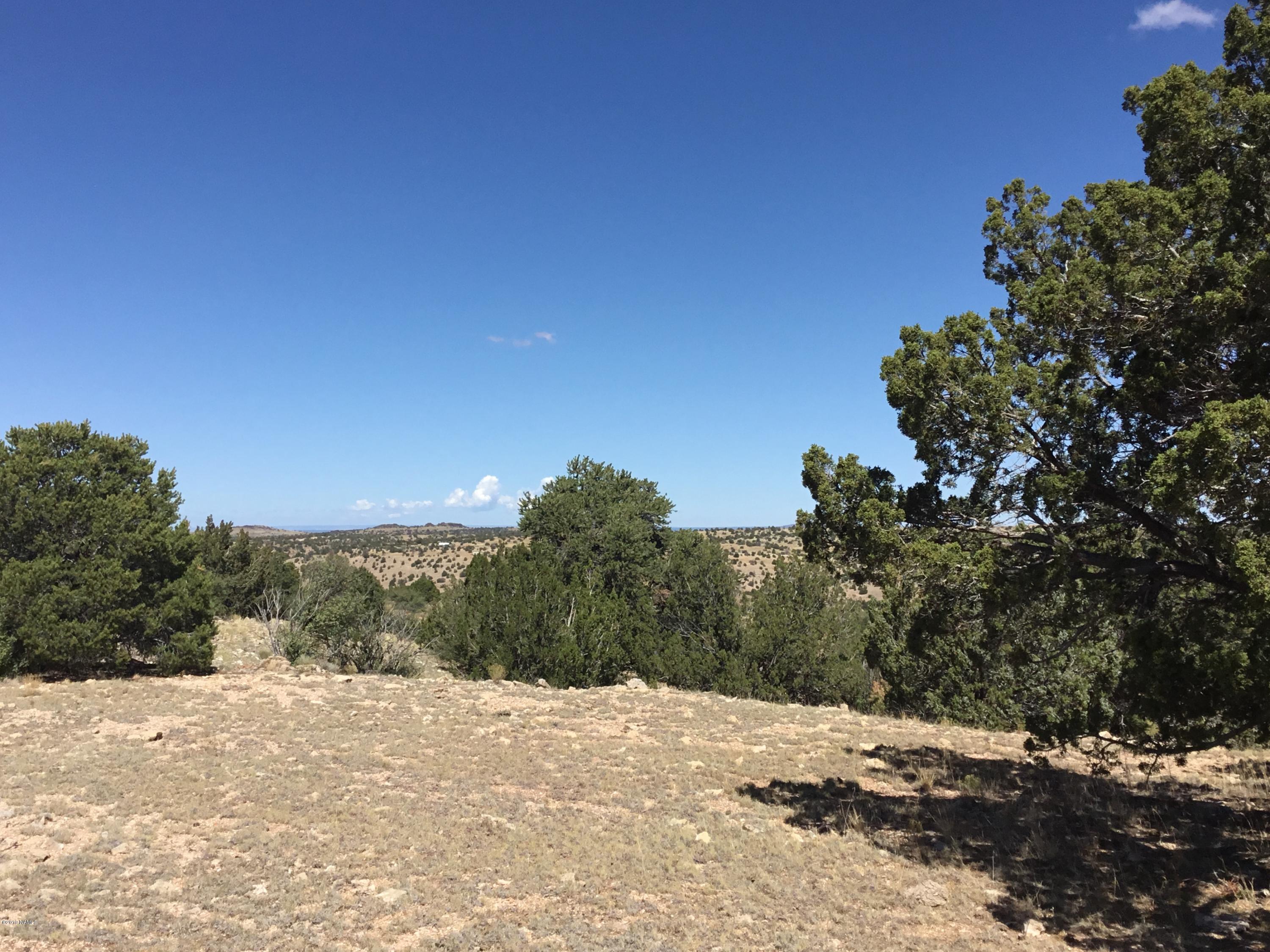 7647 Northstar Road Williams, AZ 86046 - Photo 9 of 10 6CA64A3B-DFBE-43CE-8299-7D0015121EF9