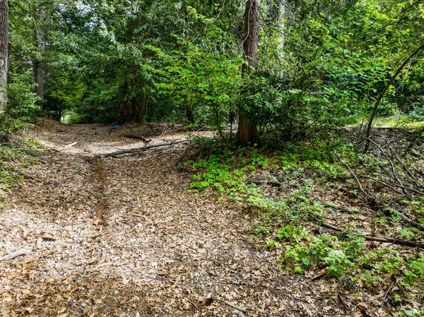 $159,000 | 16600 Holiday Way, Nevada City, CA 95959