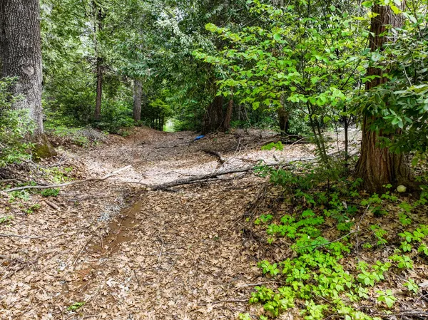 $159,000 | 16600 Holiday Way, Nevada City, CA 95959