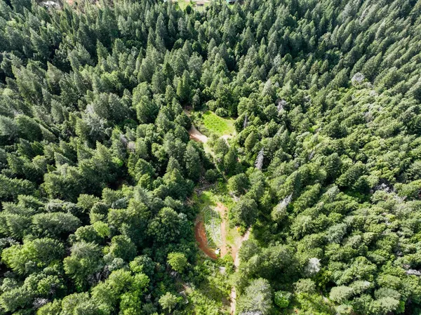 $159,000 | 16600 Holiday Way, Nevada City, CA 95959