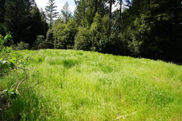 $159,000 | 16600 Holiday Way, Nevada City, CA 95959