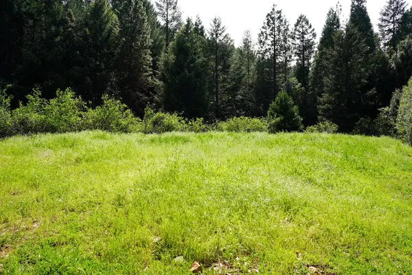 $159,000 | 16600 Holiday Way, Nevada City, CA 95959