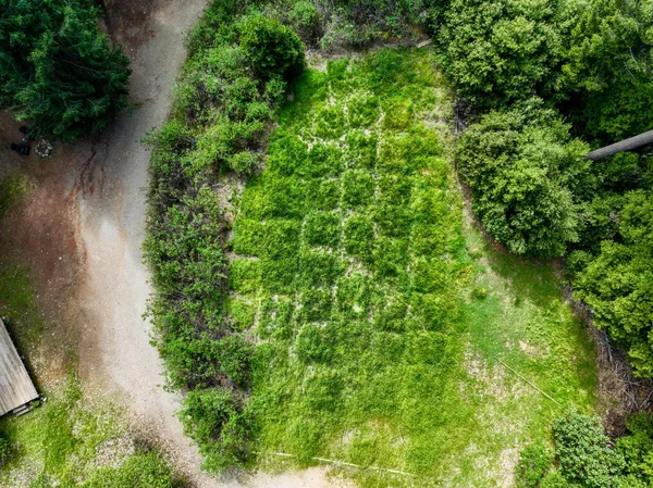 $159,000 | 16600 Holiday Way, Nevada City, CA 95959