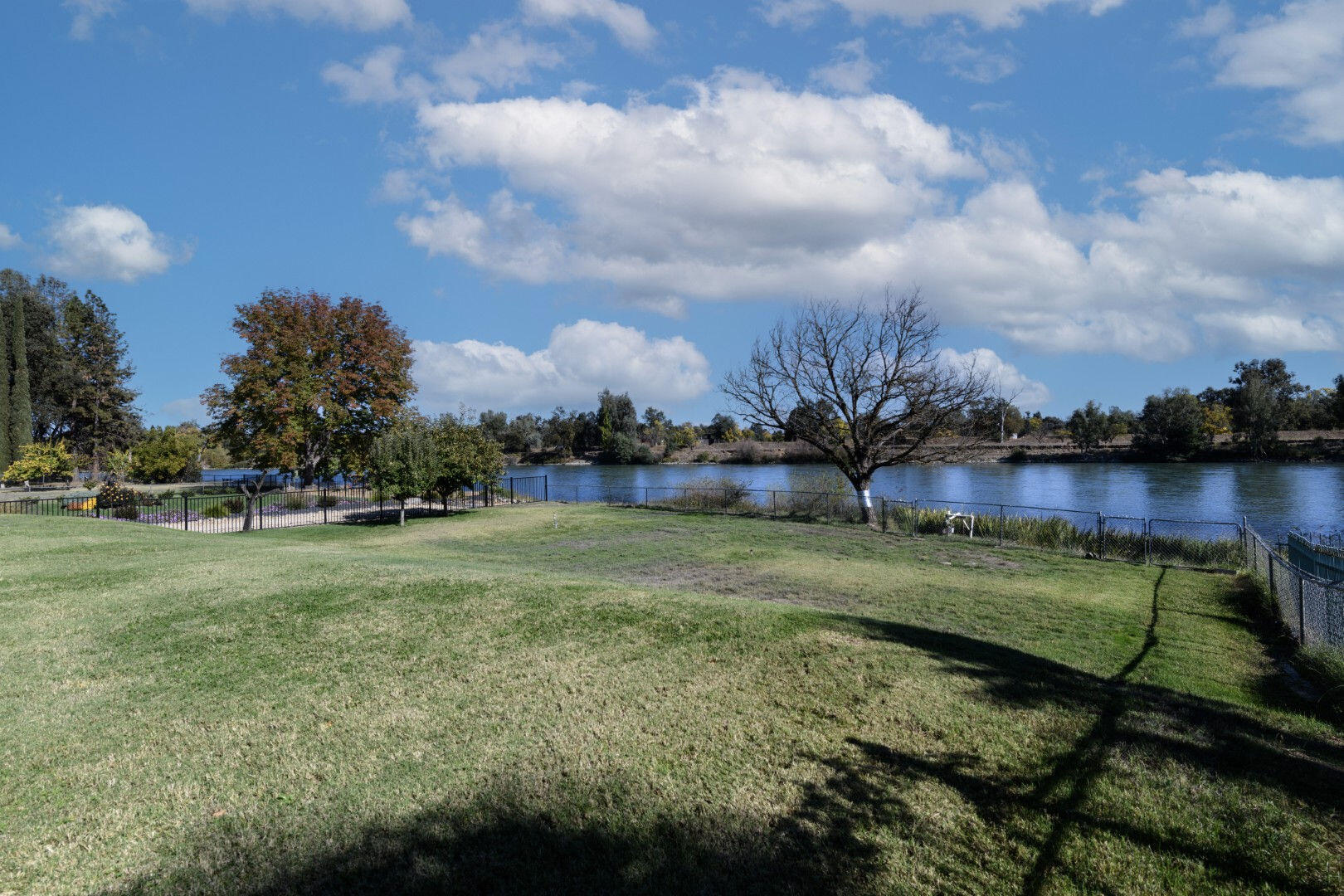 7035 Riverside Drive Redding, CA 96001 - Photo 6 of 23 a view of a garden with a house in the background