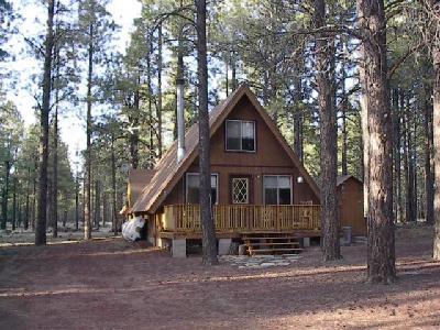 7328 East Robin Hood Road Williams, AZ 86046 - Photo 1 of 3 Primary Photo