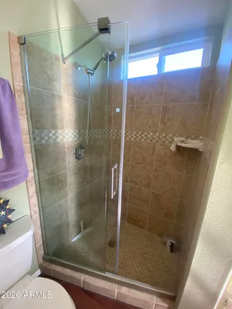 a bathroom with a shower and toilet