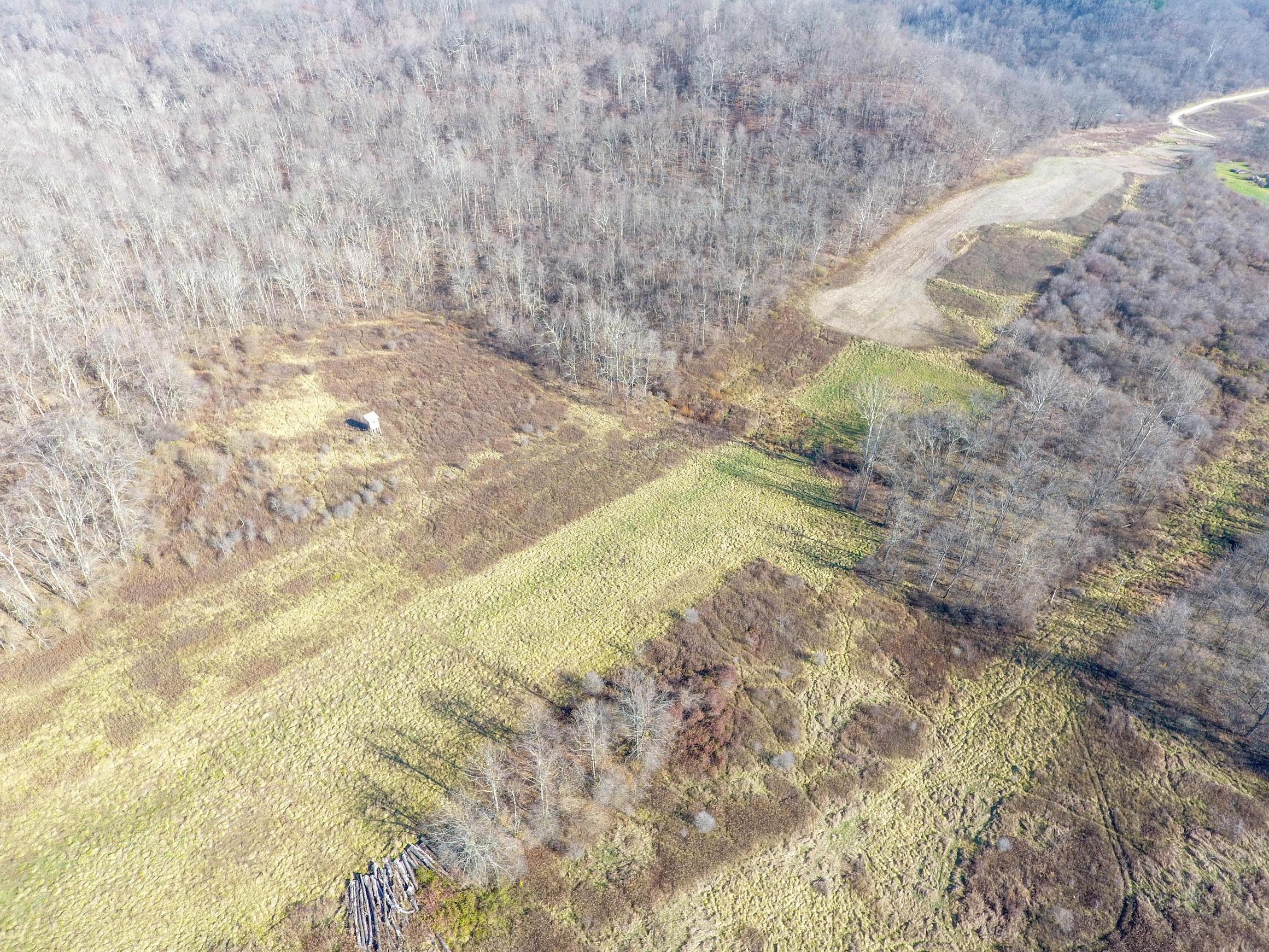12215 Rural Dale Road Chandlersville, OH 43727 - Photo 3 of 47