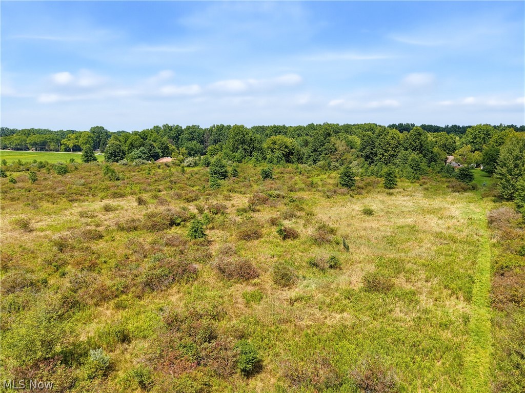 82 State Route Newton Falls, OH 44444 - Photo 3 of 30 Expansive open land with mature tree perimeter and natural vegetation