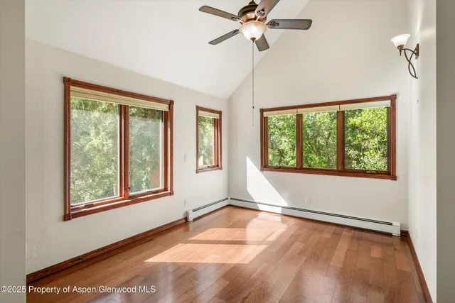 a view of a tree in a yard