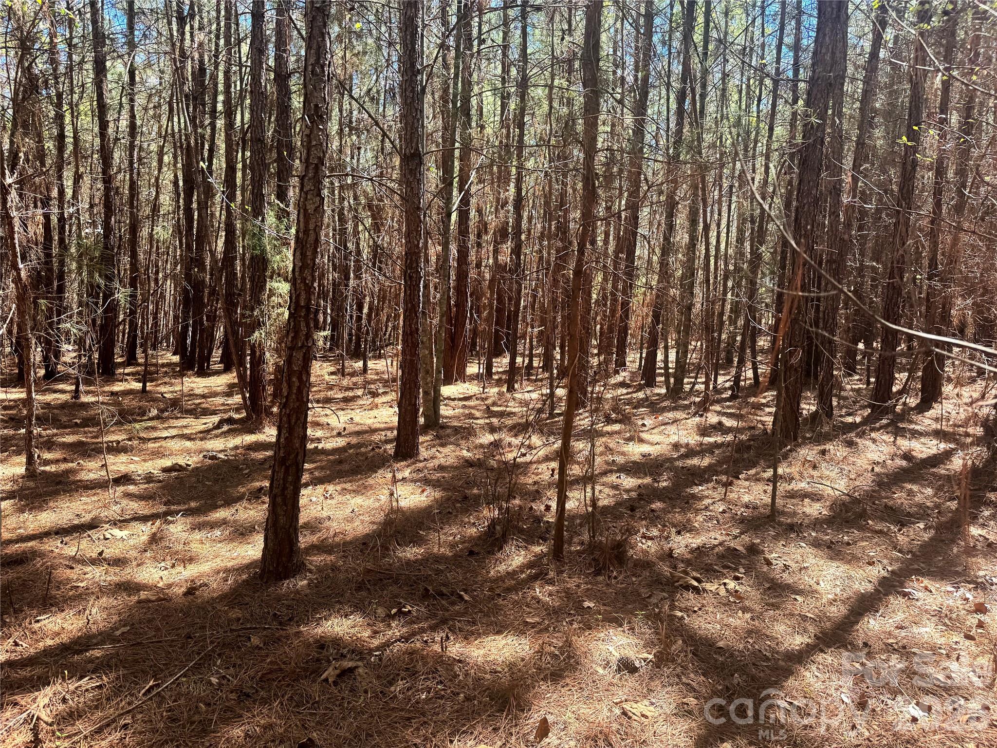 0 Puzzle Creek Road Bostic, NC 28018 - Photo 2 of 4 a view of outdoor space with trees