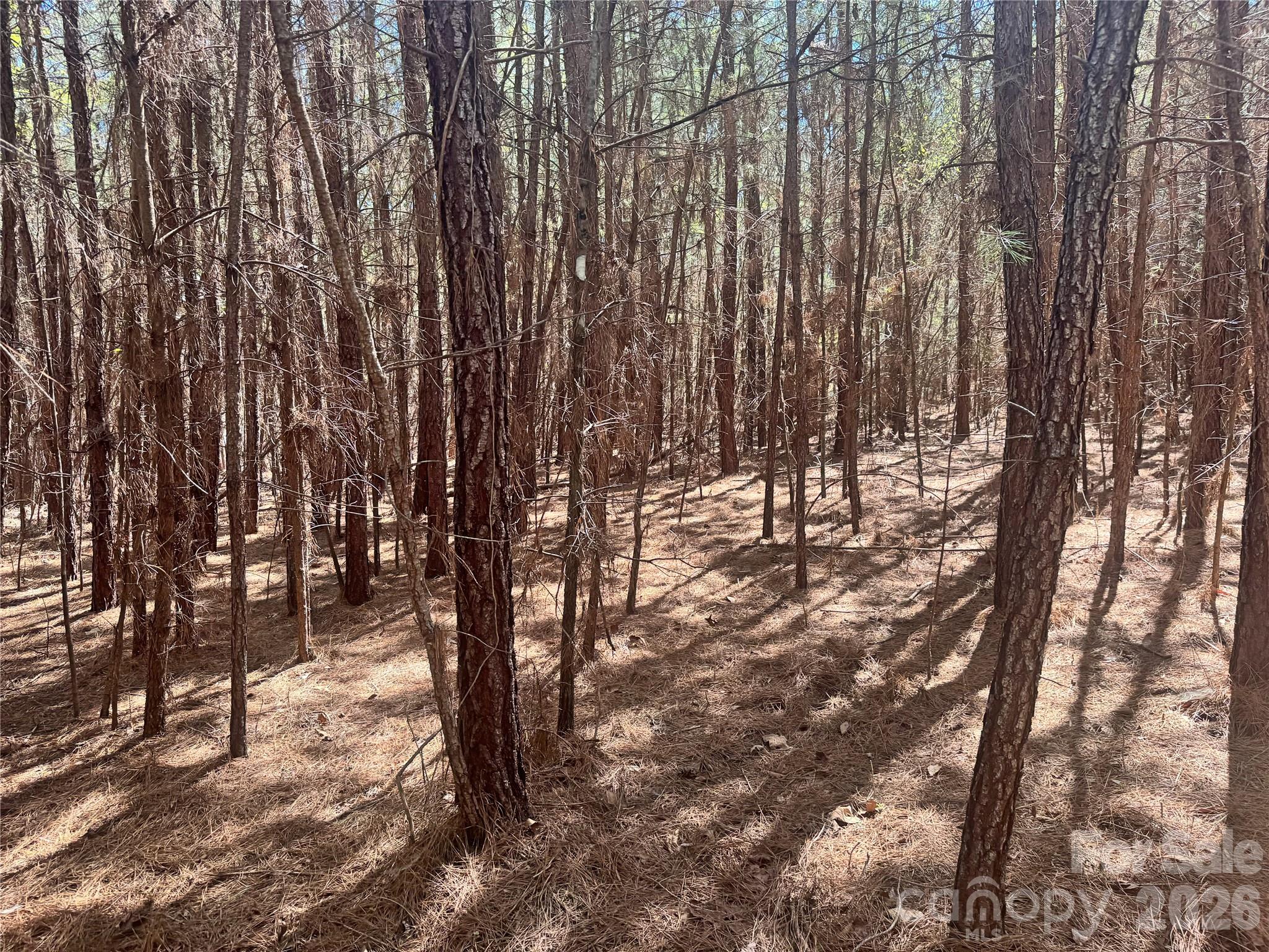 0 Puzzle Creek Road Bostic, NC 28018 - Photo 3 of 4 a view of outdoor space with lots of trees