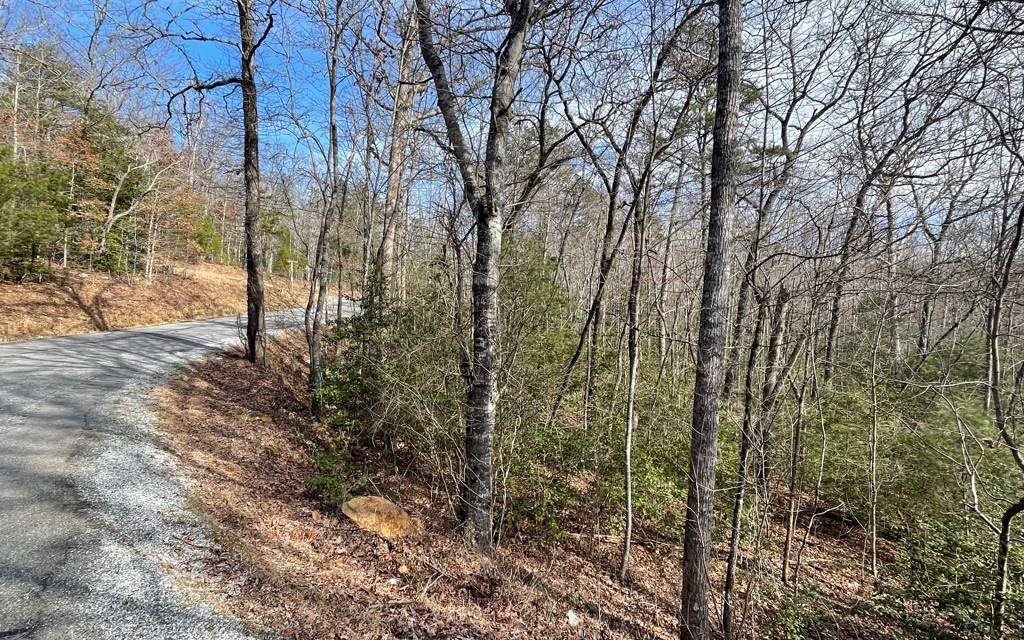 5.9-ac Voylestown Road Morganton, GA 30560 - Photo 5 of 22 Additional View