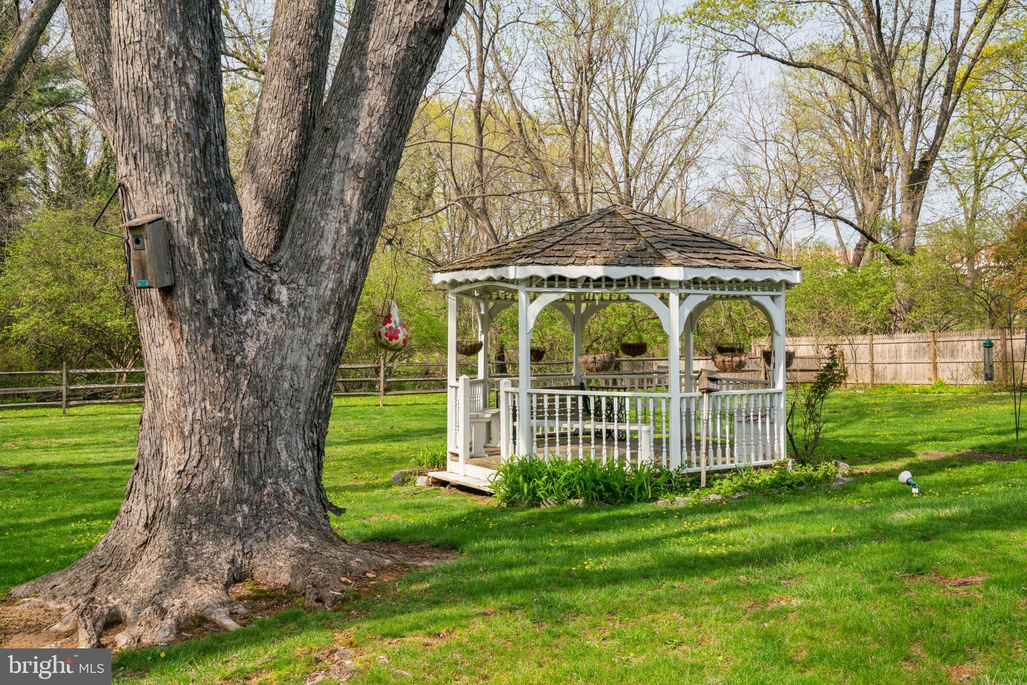 507 Poplar Road Flourtown, PA 19031 - Photo 54 of 59 a view of a garden with a tree in the grass