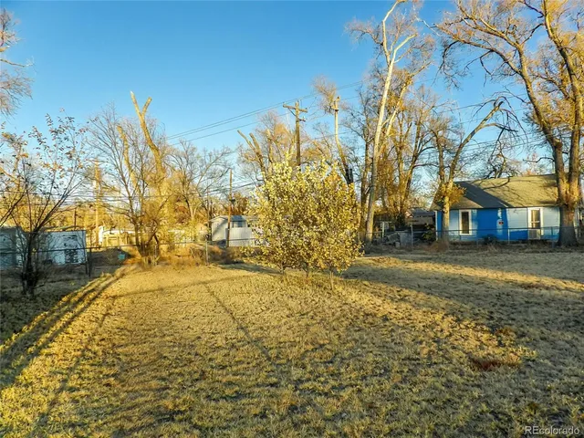a view of a yard with plants and trees