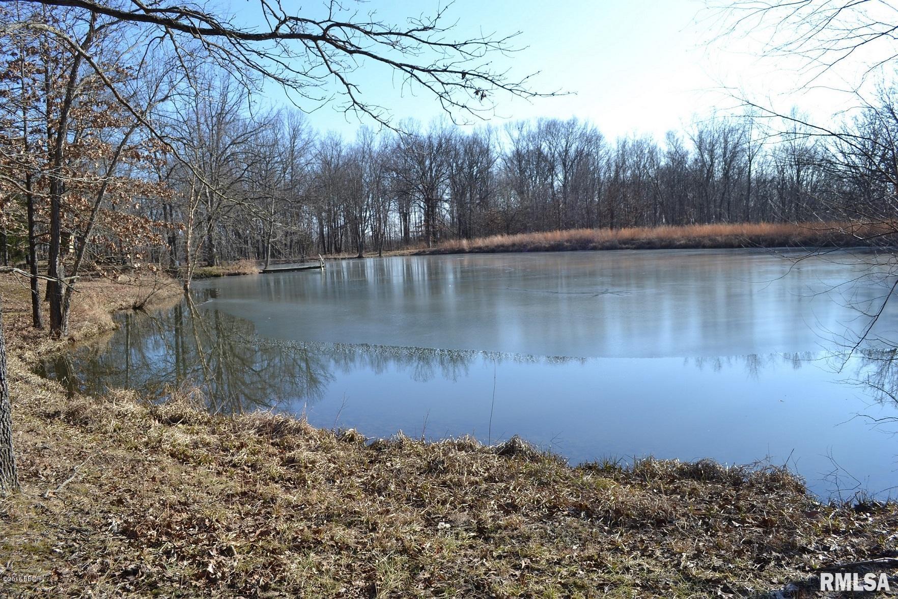 1000 Shelton Road Thompsonville, IL 62890 - Photo 2 of 7
