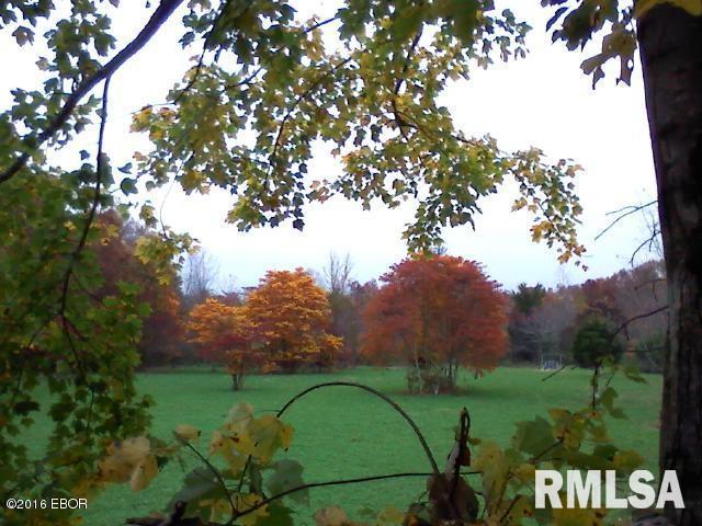 1000 Shelton Road Thompsonville, IL 62890 - Photo 3 of 7
