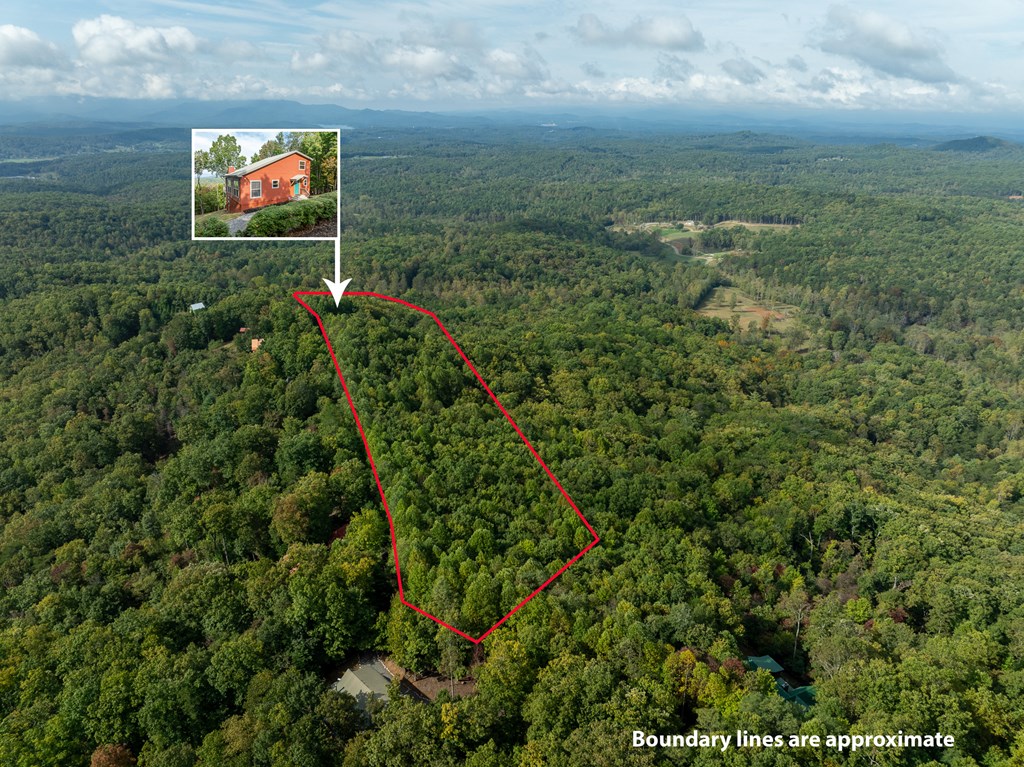 175 Oak Ledge Road Morganton, GA 30560 - Photo 46 of 62