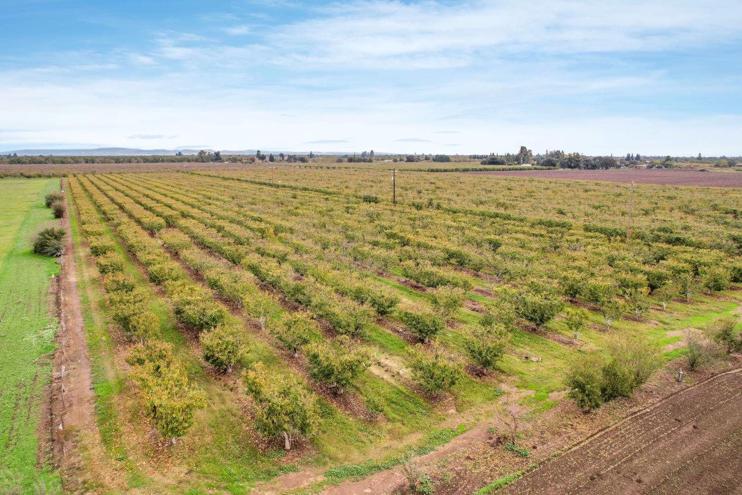 5766 Alpine Road Stockton, CA 95215 - Photo 16 of 99