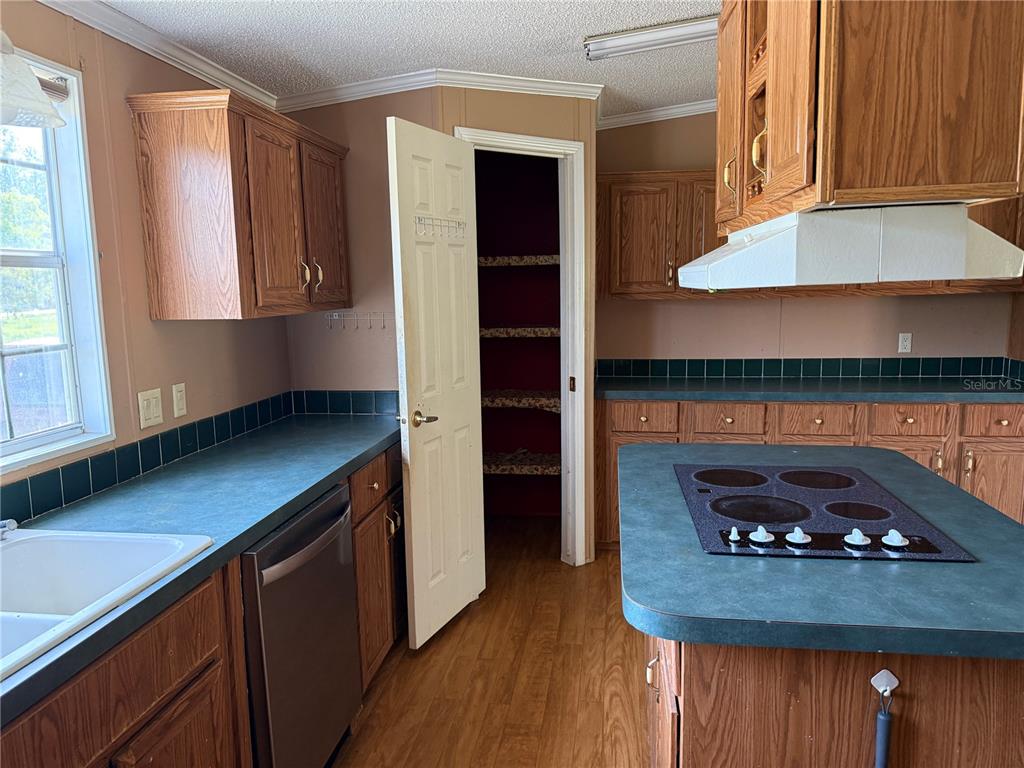 11090 Southeast 165th Terrace Road Ocklawaha, FL 32179 - Photo 21 of 39