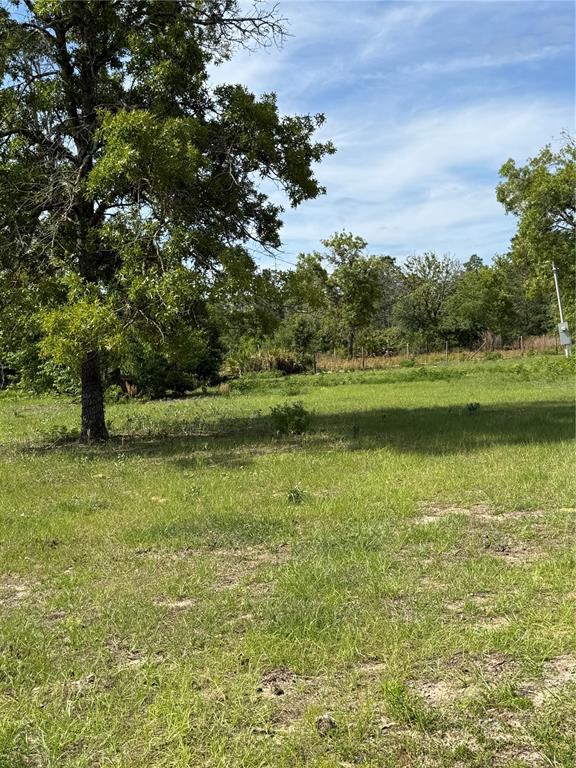 11090 Southeast 165th Terrace Road Ocklawaha, FL 32179 - Photo 29 of 39