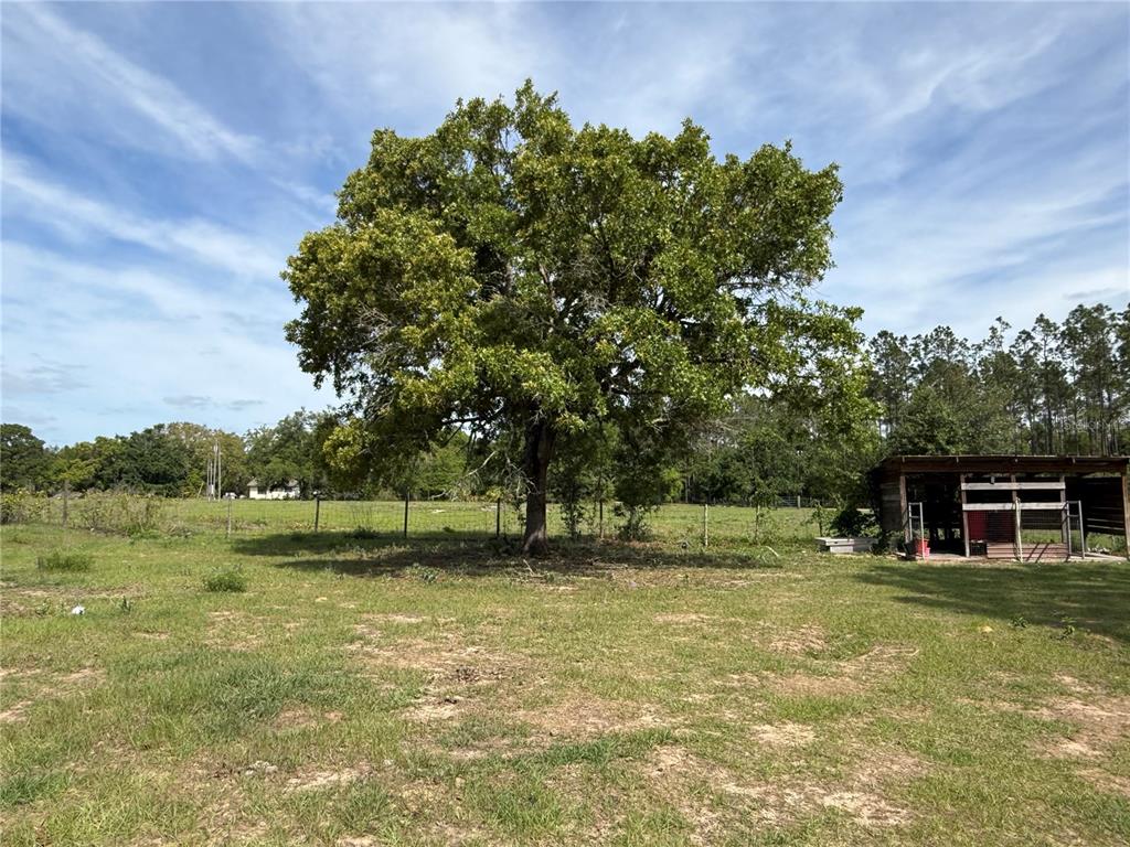 11090 Southeast 165th Terrace Road Ocklawaha, FL 32179 - Photo 10 of 39