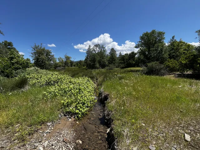 a view of a lake with a yard