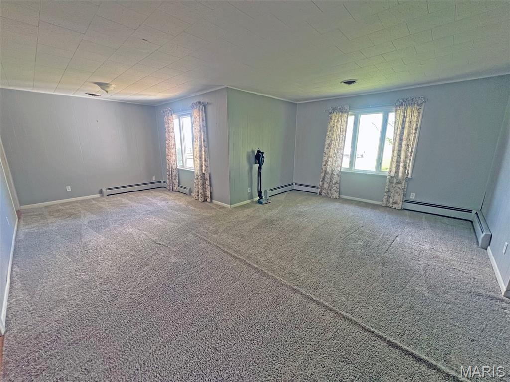172 Ballpark Trail Litchfield, IL 62056 - Photo 8 of 13
