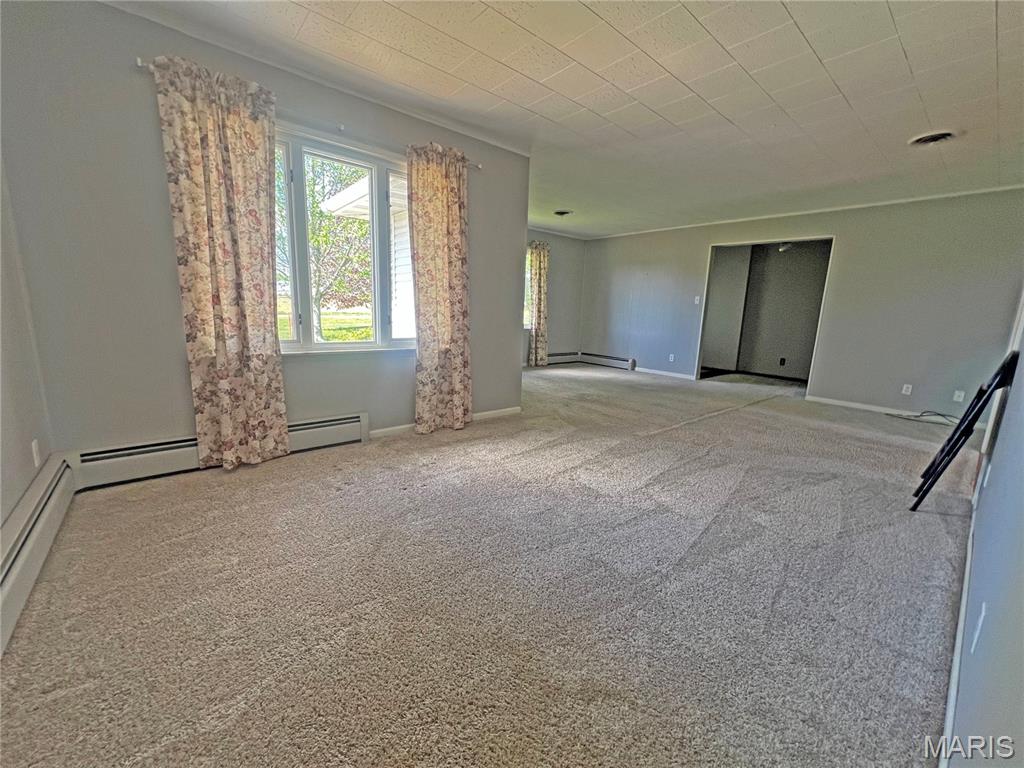 172 Ballpark Trail Litchfield, IL 62056 - Photo 9 of 13