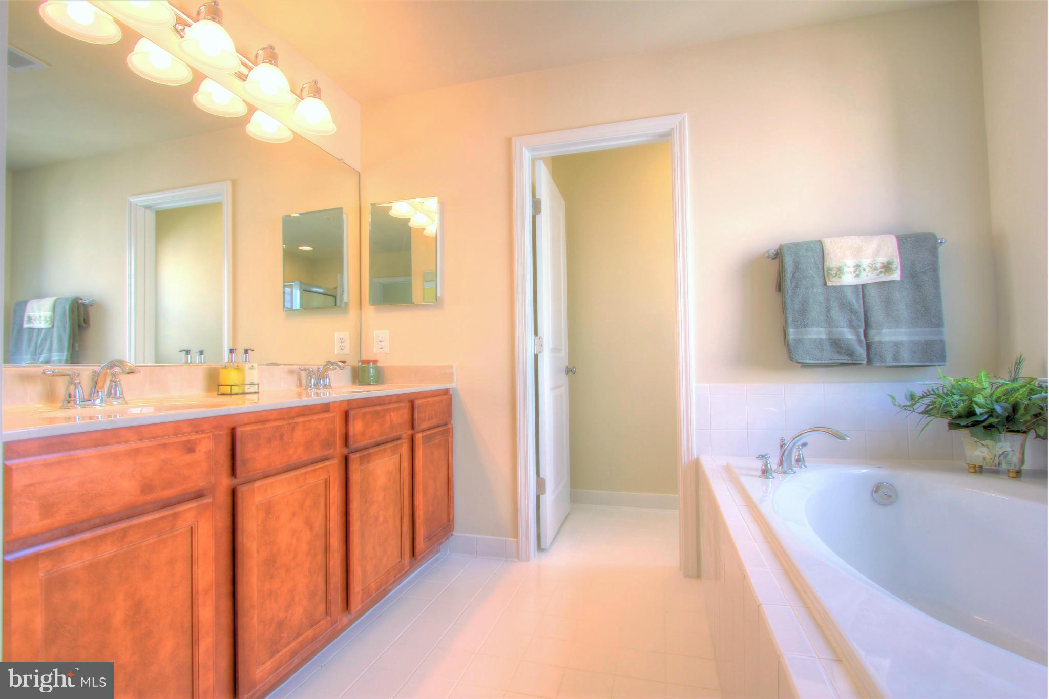 9299 Whiskey Bottom Road Laurel, MD 20723 - Photo 20 of 30 Bath (Master)