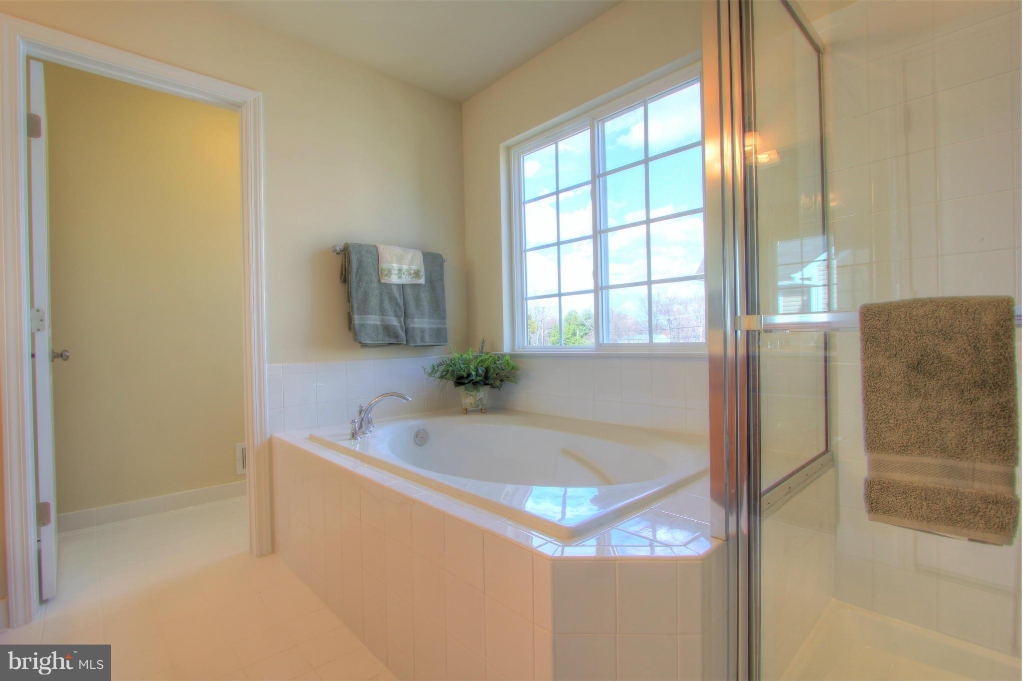 9299 Whiskey Bottom Road Laurel, MD 20723 - Photo 21 of 30 Bath (Master)