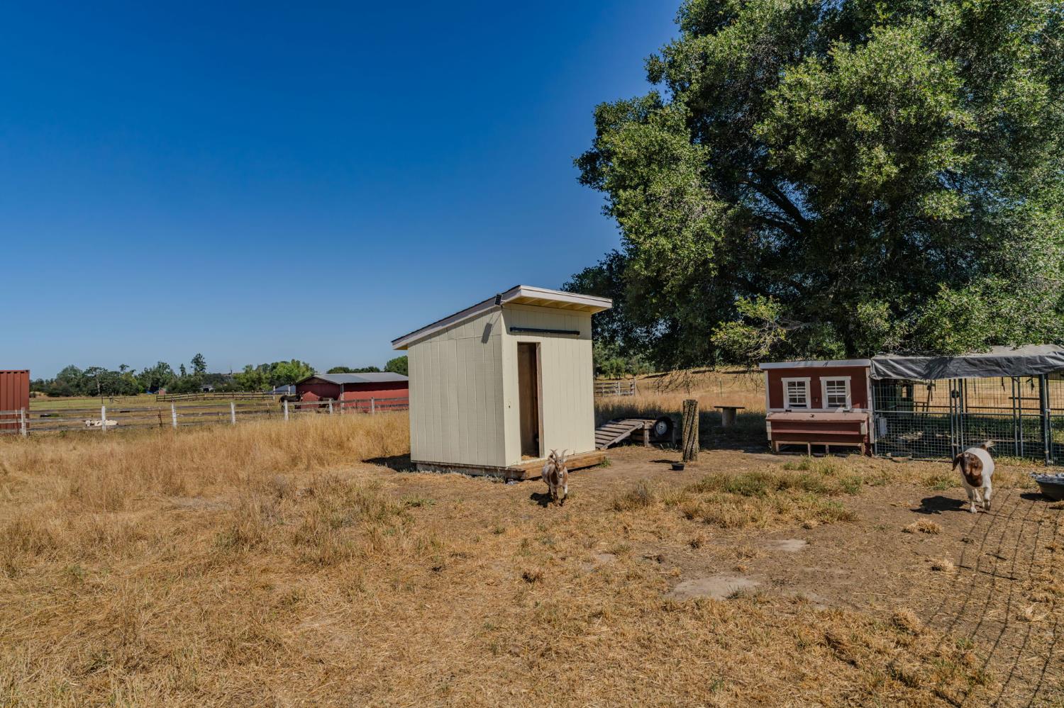 5726 Pettinger Road Valley Springs, CA 95252 - Photo 60 of 77