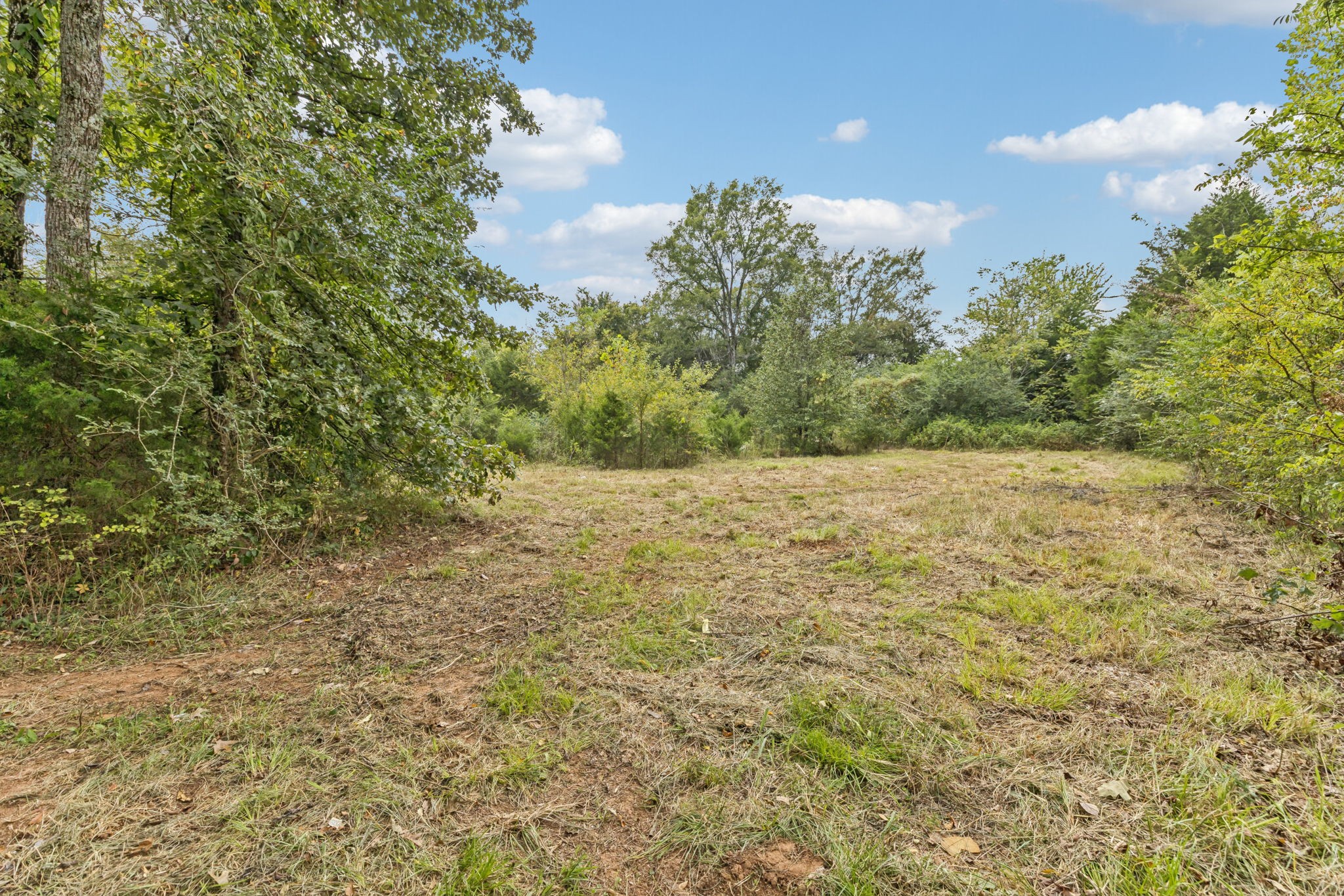 4011 Central Valley Road Murfreesboro, TN 37129 - Photo 18 of 43 a view of a yard with a trees